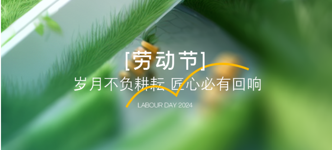 哲凡软件&管家婆软件|25年劳动节放假通知